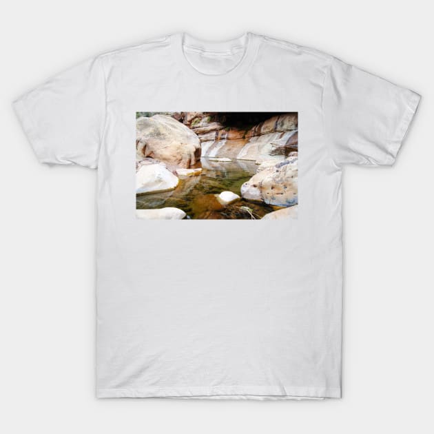 rli reflection T-Shirt by pcfyi